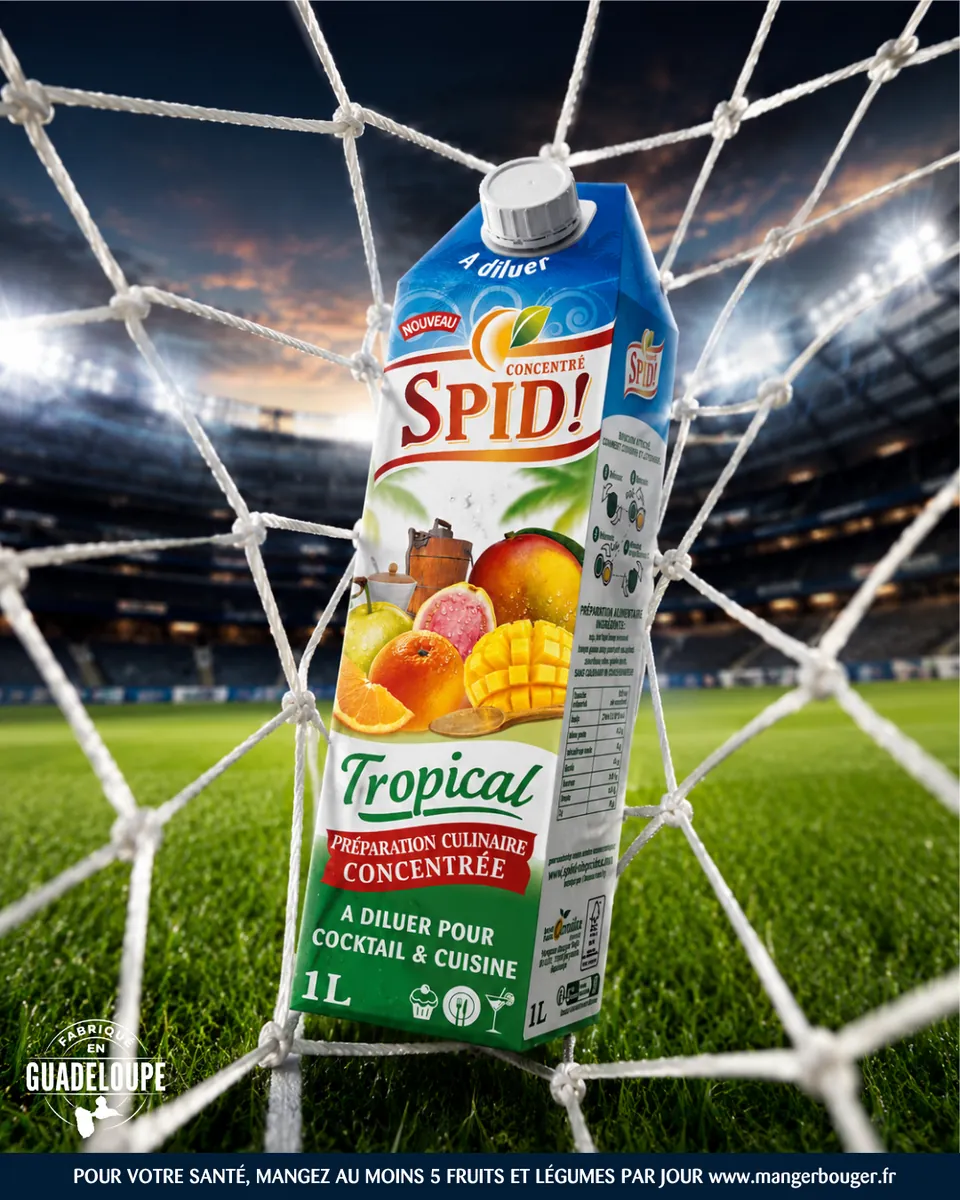 SPID Tropical dans un filet de but, visuel créé avec l'IA